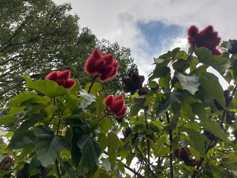 Similar image 22536107