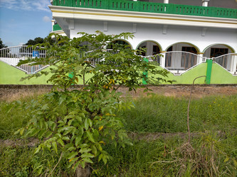 Similar image 22536136