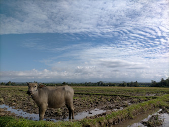 Similar image 22536153