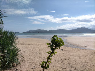 Similar image 22536184