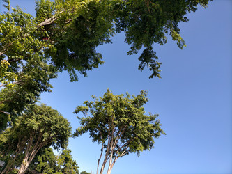 Similar image 22536240