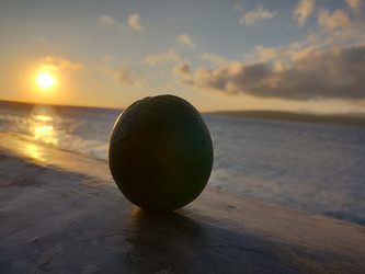 Similar image 22536329