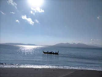 Similar image 22536348