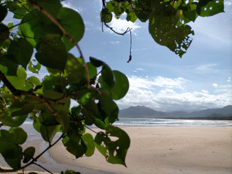 Similar image 22536349