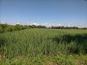 Similar image 22536360