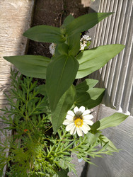 Similar image 22536407