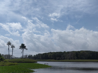 Similar image 22536408