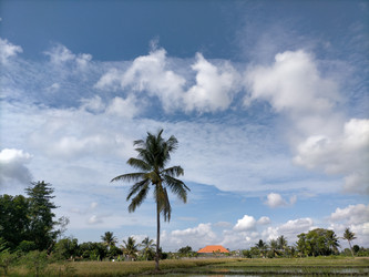 Similar image 22536420