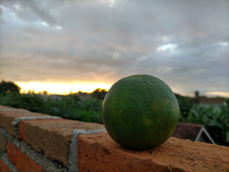 Similar image 22536436