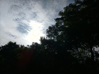 Similar image 22536437