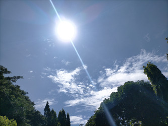 Similar image 22536465