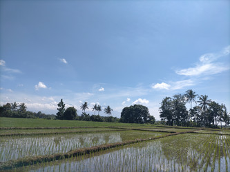 Similar image 22536466