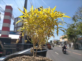 Similar image 22536527