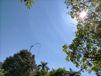 Similar image 22536541