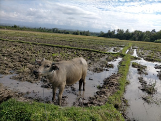 Similar image 22536542