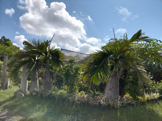 Similar image 22536617