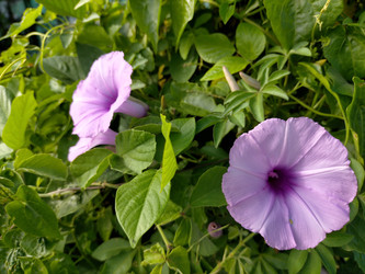 Similar image 22536632