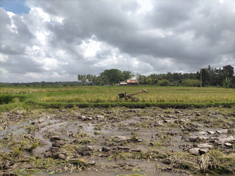 Similar image 22536633