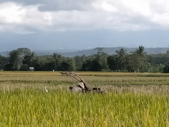 Similar image 22498644