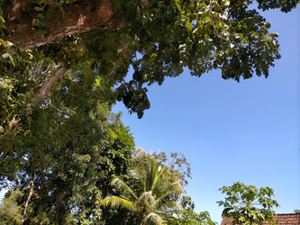 Similar image 22498660