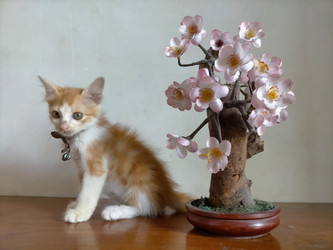 Similar image 22498673