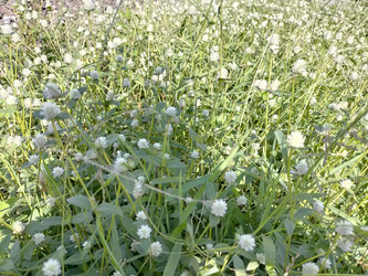 Similar image 22498674