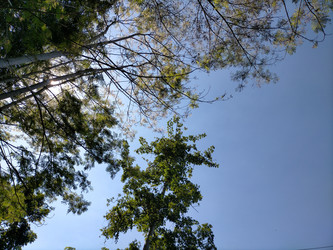 Similar image 22498691