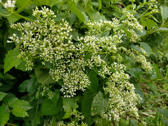 Similar image 22498692