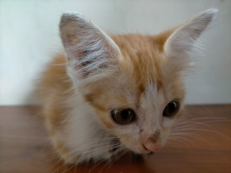 Similar image 22498705