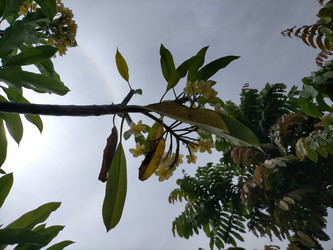 Similar image 22498735