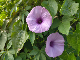 Similar image 22498736