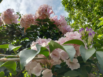 Similar image 22498766