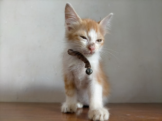 Similar image 22498781