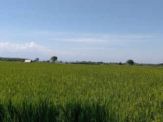 Similar image 22498796