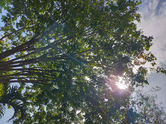 Similar image 22498826