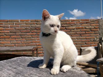 Similar image 22498842