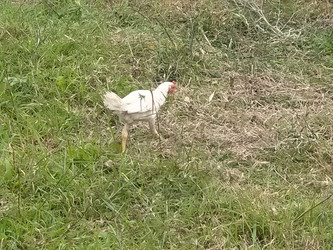 Similar image 22498843