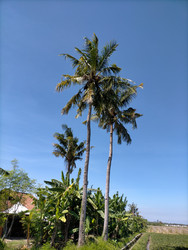 Similar image 22498856