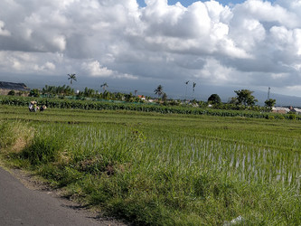 Similar image 22498885