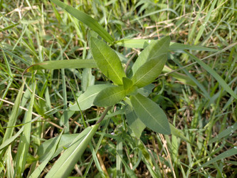 Similar image 22498900