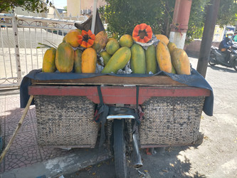 Similar image 22498931