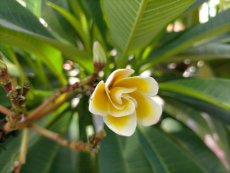 Similar image 22498947