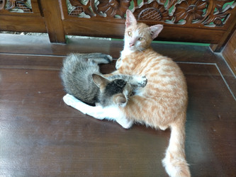 Similar image 22498962