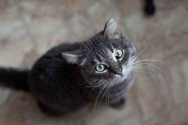 Similar image 22497619