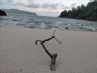 Similar image 22499020