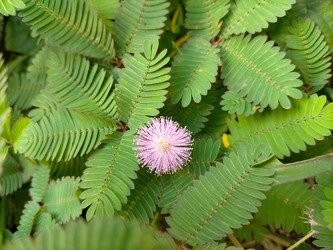 Similar image 22499037