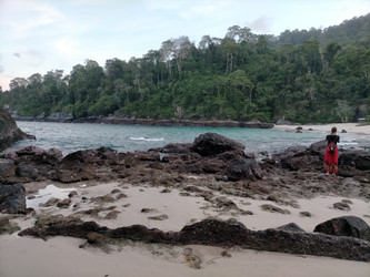 Similar image 22499051