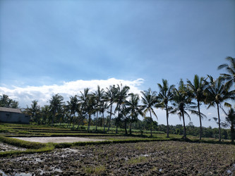 Similar image 22499066