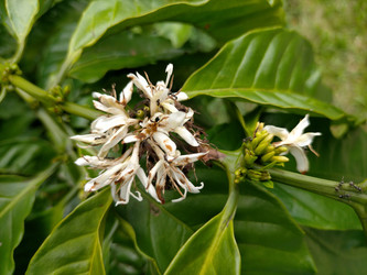 Similar image 22499093