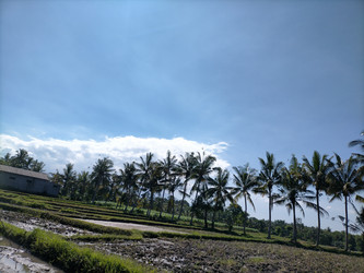 Similar image 22499362